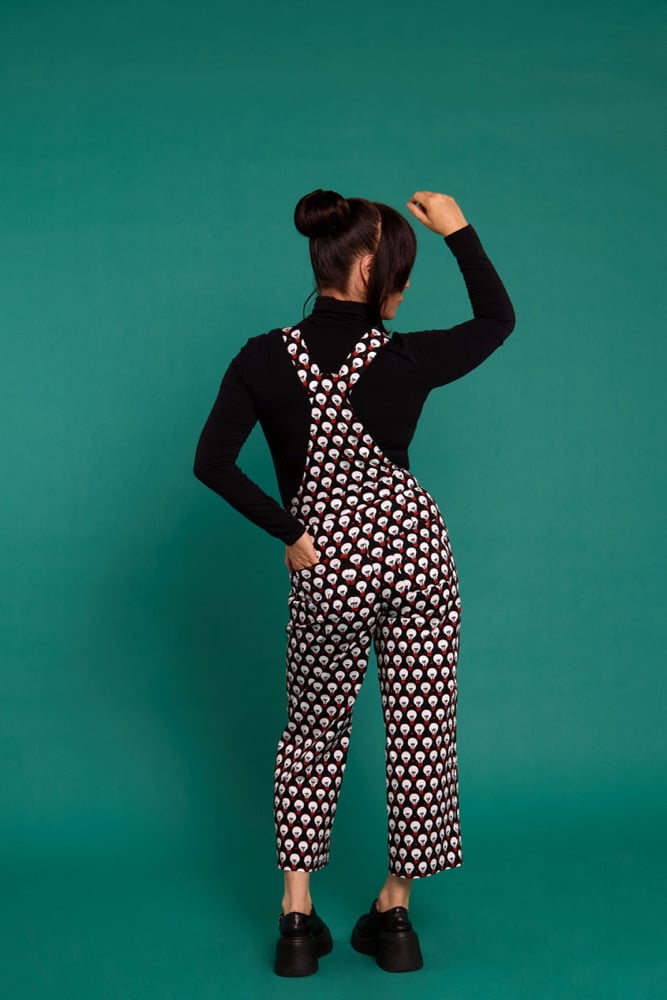 Image of Peto Monterey Pop