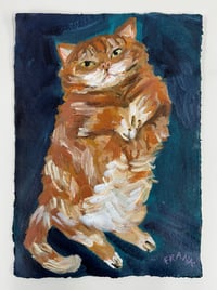 Fat Orange cat