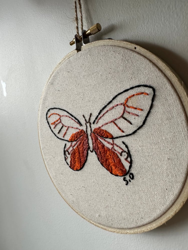 Image of Tangerine Moth