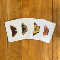 Image 1 of Butterfly Print #5 - Various Designs