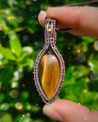 Image 3 of Golden Divine 