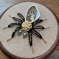 Image 1 of Butterfly spider (c,  4 inches)  