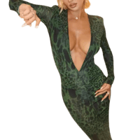 Image 1 of V-Neck Leopard Print Dress