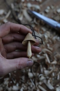 Image 5 of Birch Mushroom 