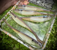 Image 1 of BIG JERKS - “BLUEBACKs”