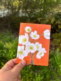Image 1 of White Poppies Notecards- Set of 6