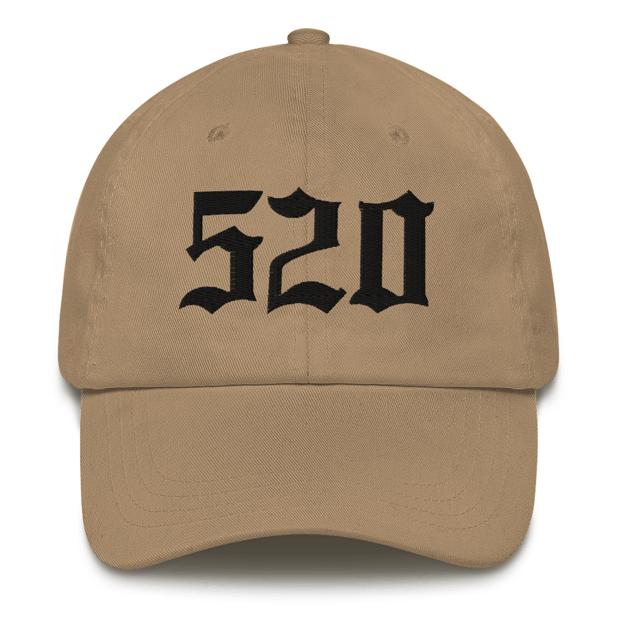 Image of LOWER AZ 520 Dad hat