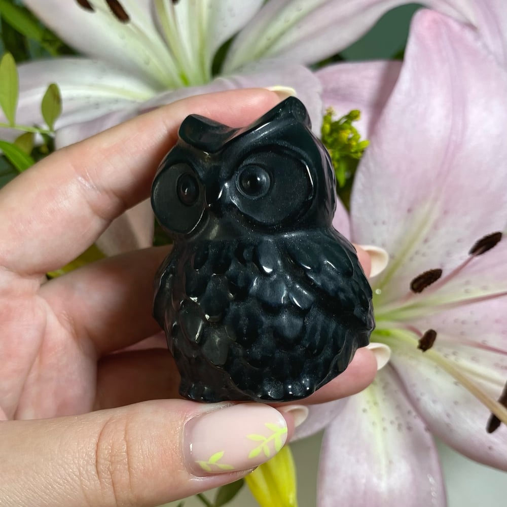 Image of Obsidian Owl