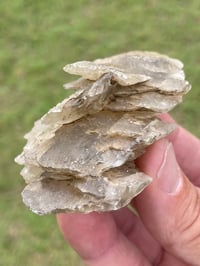 Image 9 of Australian Gypsum / Selenite specimen #796