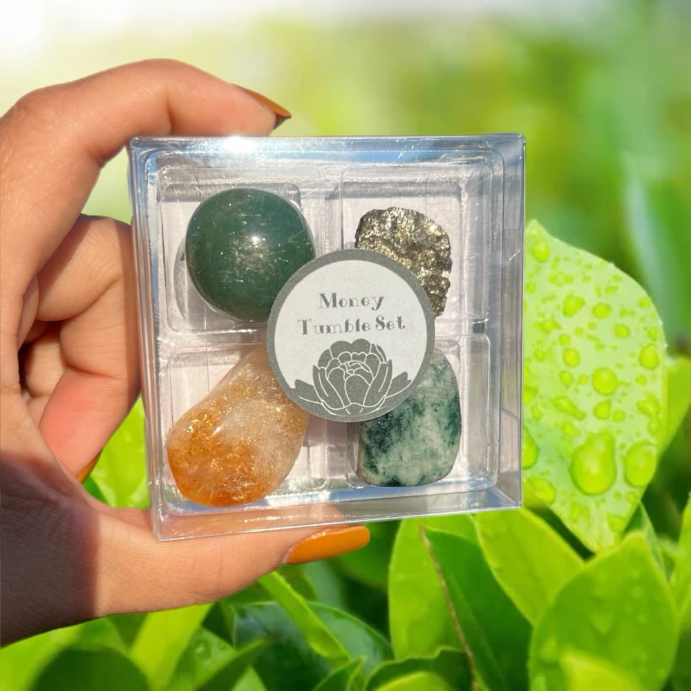 Image of Money Tumble Set