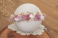 Newborn/Sitter Halo 270