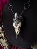 Crystallized English Crow - Necklace