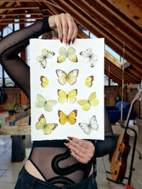 Image 5 of Yellow Butterflies GOLDEN DUST COLLECTION ORIGINAL ARTWORK