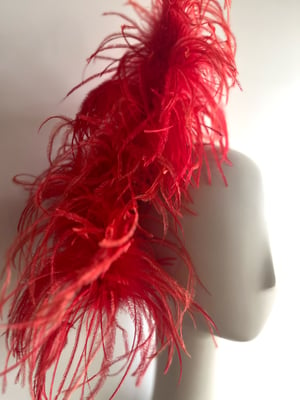 Image of Red ostrich headpiece 