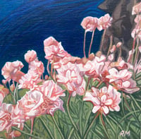 Image 1 of ‘SEA OF PINKS’