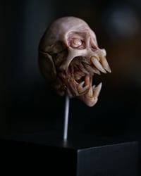 Image 20 of Vampire fetal skull, original art, dark academia