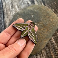 Image 2 of Elephant Hawk Moth Brooch