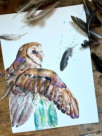 Image 1 of "Barn Owl" Original