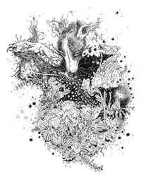 Perennial Dreams