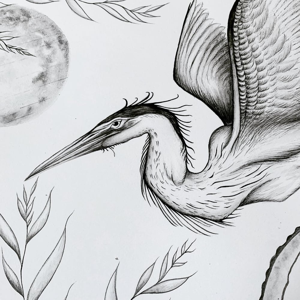 Image of Moonlit Heron 