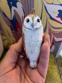 Image 1 of Samson the barn owl