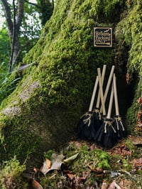 Image 4 of Mouse Witch outfit (reversible)