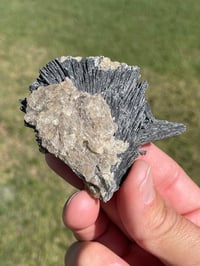 Image 5 of Black Kyanite Fan Specimen #1975
