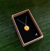 Spondylus on 14k Gold Filled Chains