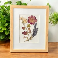 Image 3 of Genuine Chrysanthemum, Rose, Veronica And Hydrangea Wildflower Art In 8" X 10" Frame (Item# 2021148)