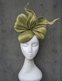 'Bowie' in Olive