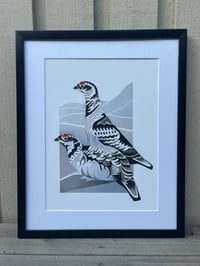 Image 2 of Grouse