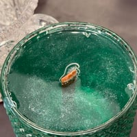 Image 5 of cactus blossom scented candle