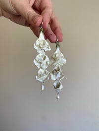 Image 1 of 🤍Snapdragon Cascade🤍