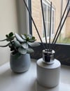 100ml White Reed Diffuser