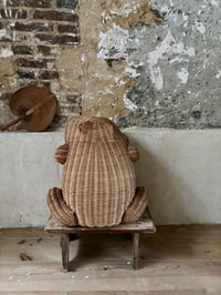 Image 3 of La corbeille grenouille Olivier Cajan