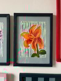 Image 2 of Small orange lily 