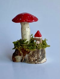 Image 1 of Amanita Fairy House Scene