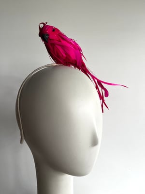 Image of Fuchsia bird. SOLD