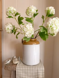 Image 2 of Snowball Bouquet ( 3 Included )