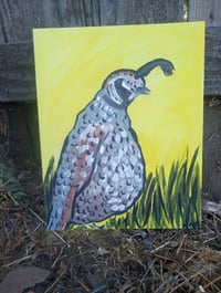 Image 7 of Quail