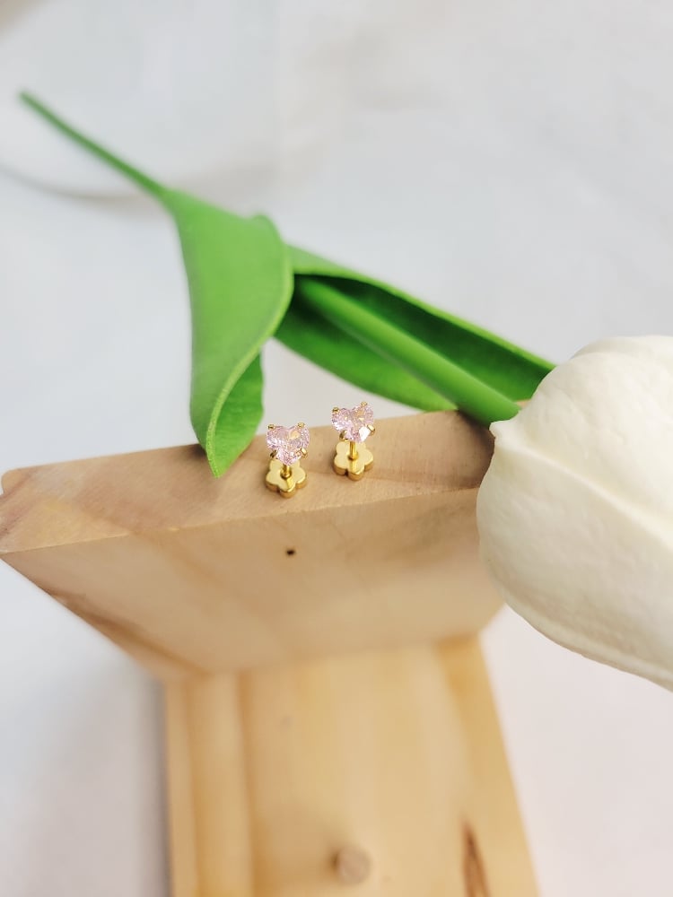 Image of Stud Earrings 