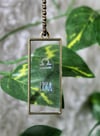 Bronze or Silver LIBRA Frame 