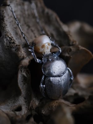 Image of PRIVATE LISTING FOR SB.