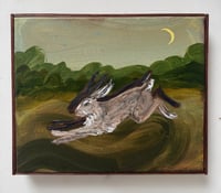 Shadow of the old hare