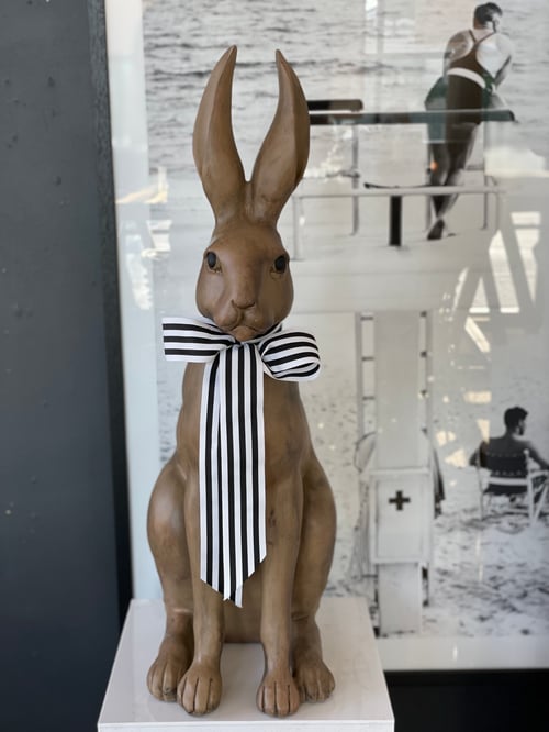 Image of Harold the Hare in Brown
