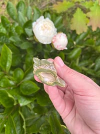 Image 7 of J Holders 