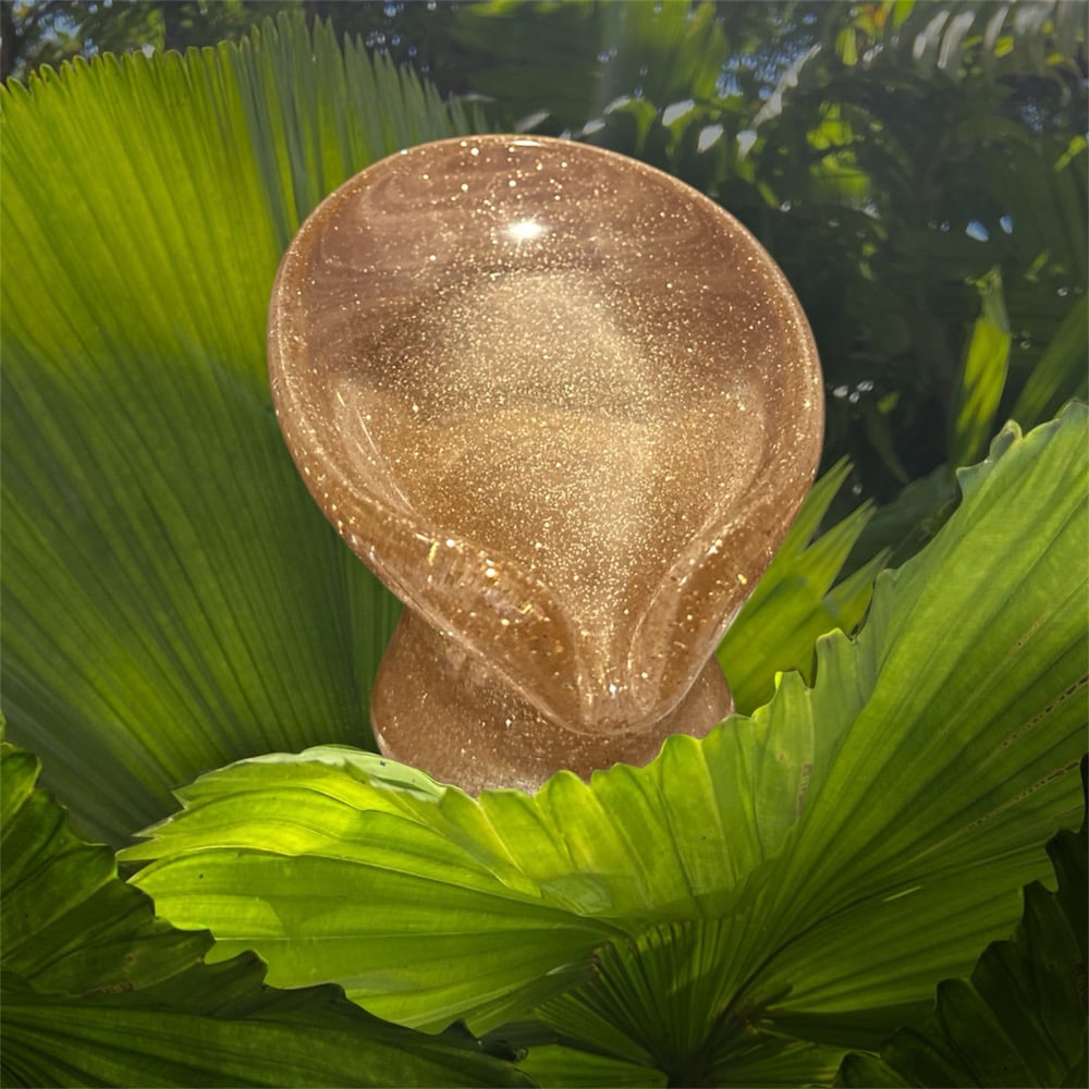 Image of Self draining soap dish