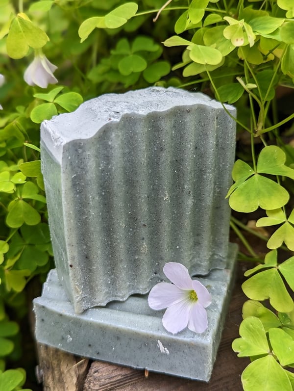 Image of Charcoal & Tea Tree Soap