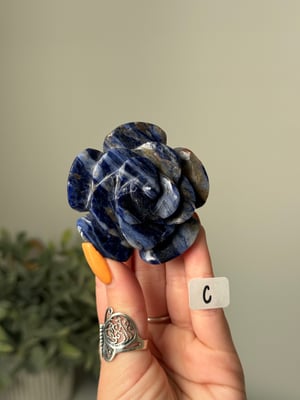 SODALITE  ROSES