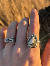 Image 3 of The Ivory Creek